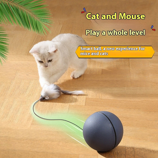 Automatic Intelligent Moving Mouse Teaser Ball