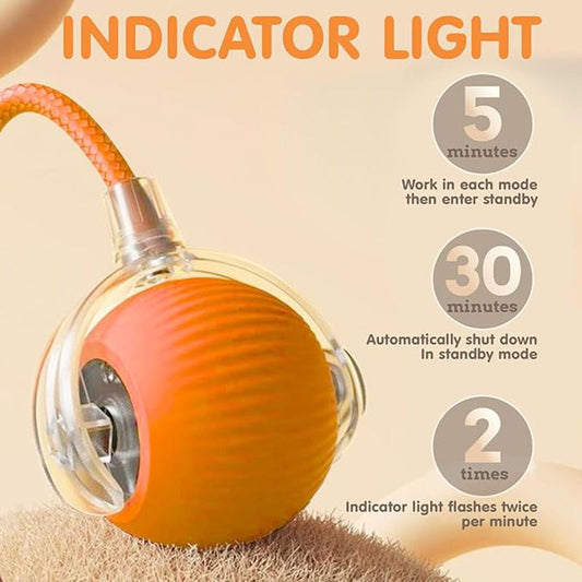 Cat Interactive Ball Toys Automatic Rolling Ball For Kitten Rechargeable Smart Pet Electric Toys With Teaser Sensor Cat Ball Toy | Purrfect Pet Kingdom