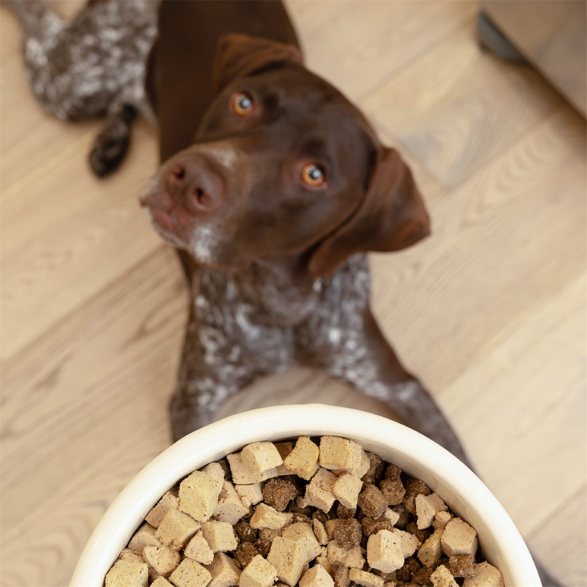 Dog Food Topper Chicken All-Natural Protein Meal Supplement