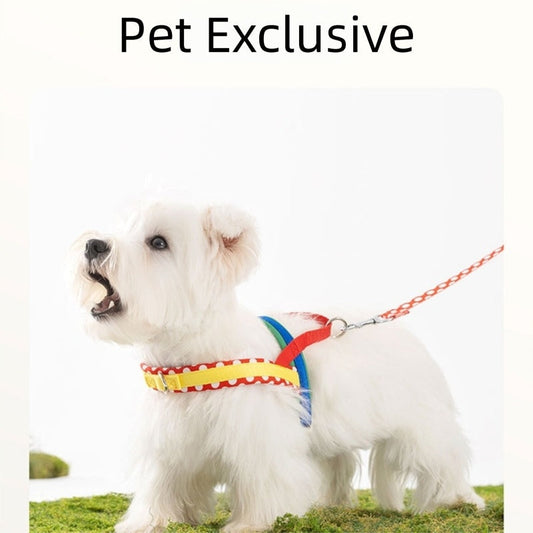 Dog Harness Leash Set No-Pull Walking Chest Strap | Purrfect Pet Kingdom