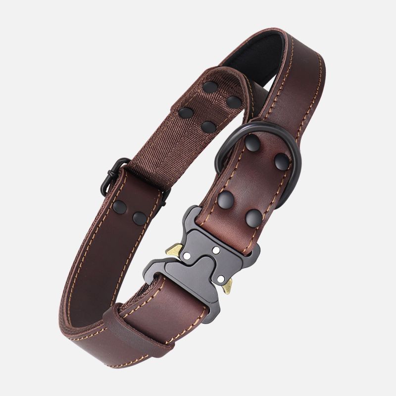 Dog Collar and Leash Set Heavy Duty Leather Bandana Walking Kit - Detail Angle 7 | Majestic Pet Kingdom
