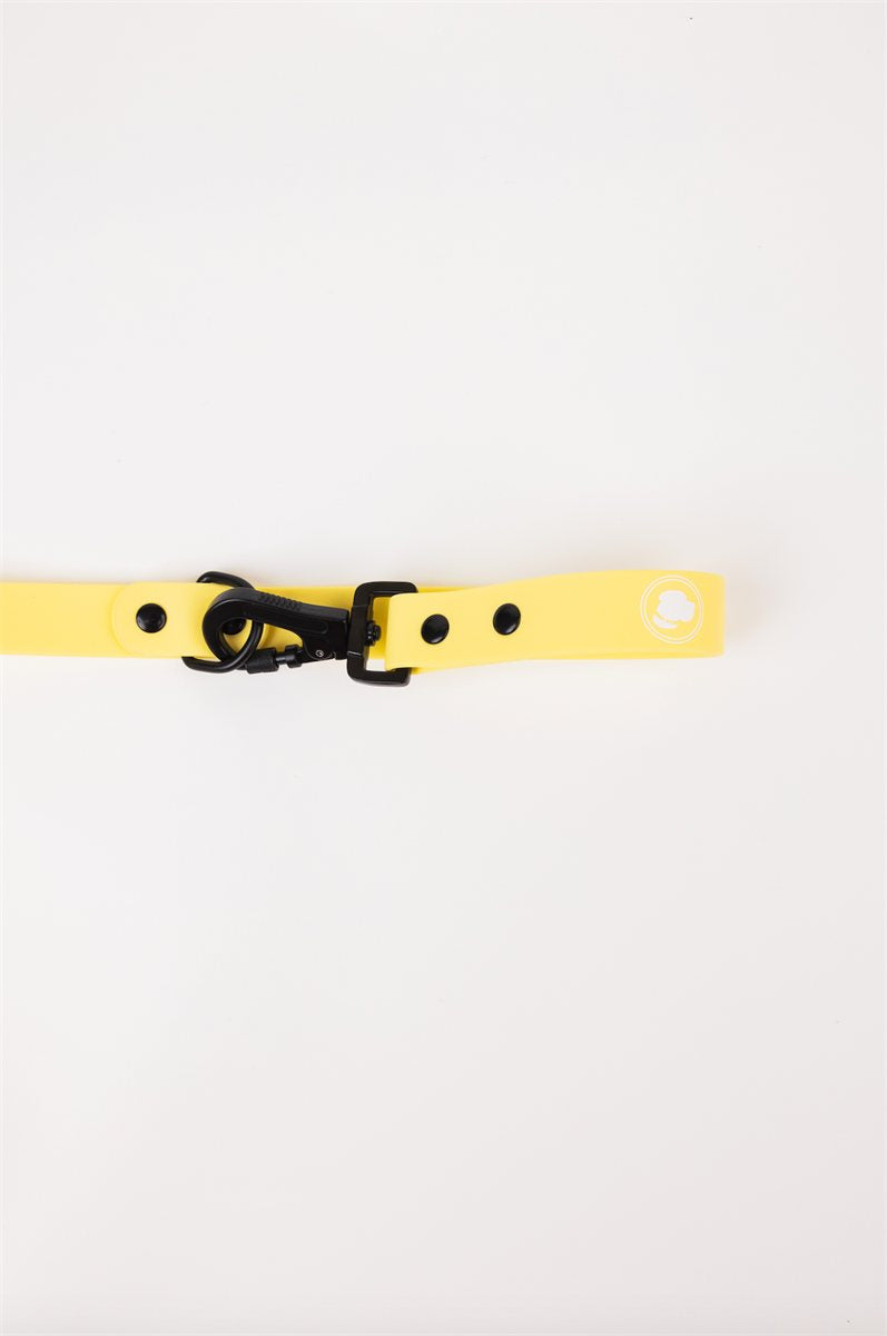Dog Leash Daffodil Yellow Adjustable Weatherproof 54-Inch - Detail Angle 3 | Majestic Pet Kingdom