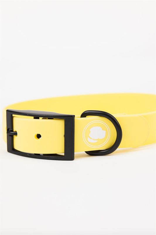 Dog Collar Daffodil Yellow Weather Odor Resistant Pet Band
