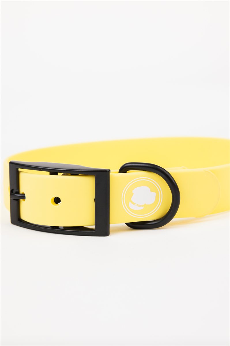 Dog Collar Daffodil Yellow Weather Odor Resistant Pet Band - Detail Angle 2 | Majestic Pet Kingdom