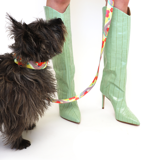Daisy Leash | Purrfect Pet Kingdom