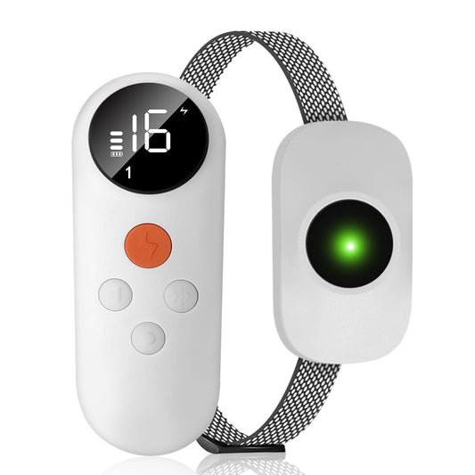 Dog Training Collar Color Screen Remote Anti-Bark Shock Device