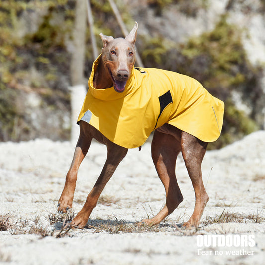 Pet Shell Jacket Dog Waterproof Windproof Raincoat - Majestic Pet Kingdom