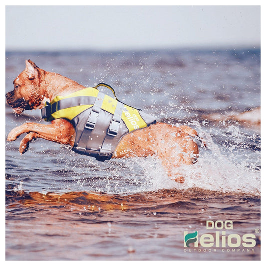 dog-life-jacket-reflective-floating-safety-swimming-vest-luxury-view-2 | Majestic Pet Kingdom
