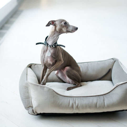 Velvet Sleeper Dog Bed – Orthopedic Support, Gray - Majestic Pet Kingdom