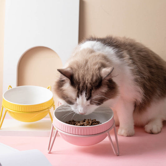 Ceramic Pet Bowl High Foot Neck Protection Snacks Anti-black Chin Oblique Mouth - Majestic Pet Kingdom