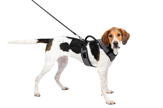 Dog Harness PetSafe EasySport Padded Control Vest Charcoal L