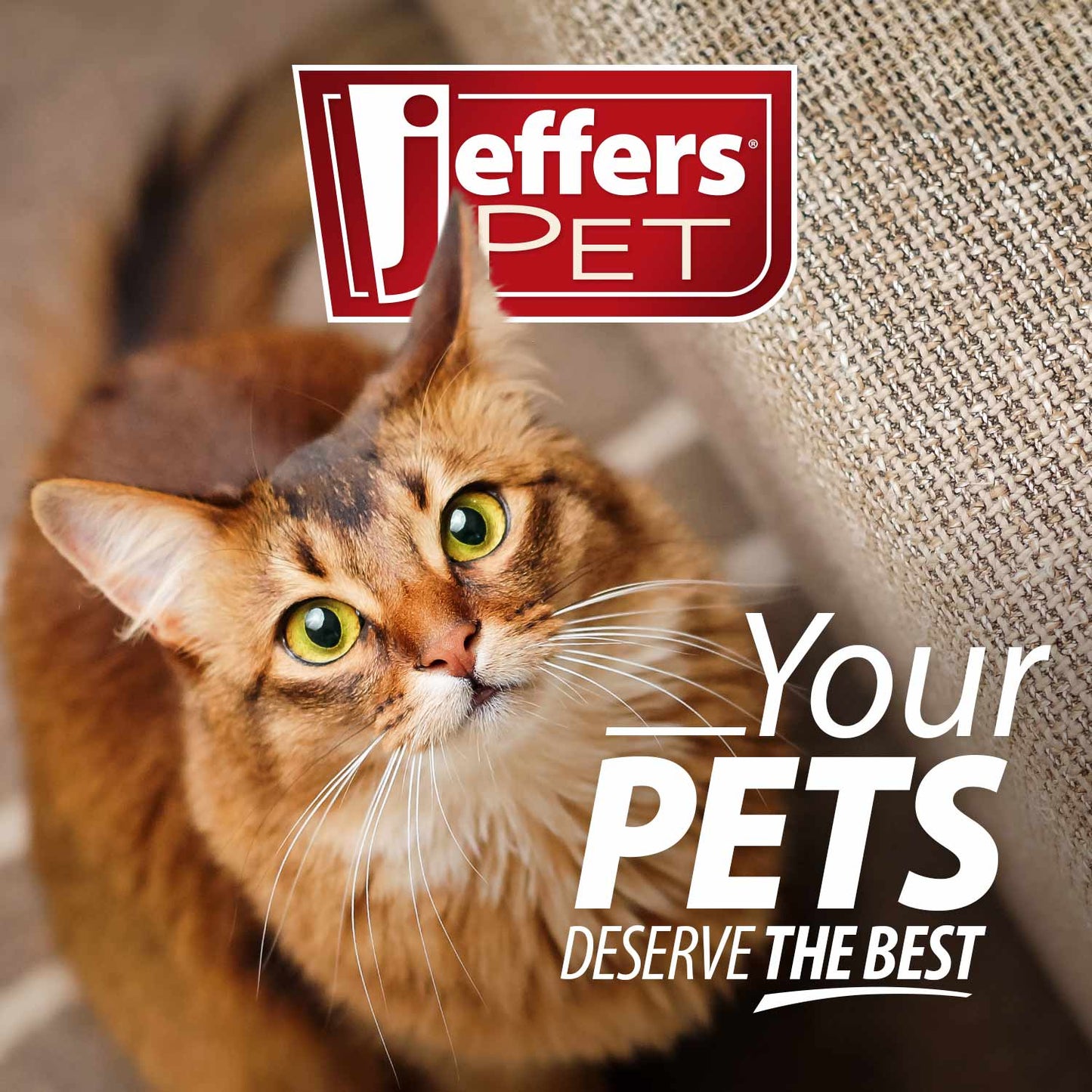 Luxury Pet Essentials - Purrfect Pet Kingdom™