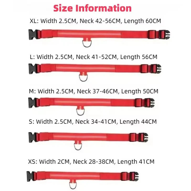 Dog Collar LED Glowing Light-Up 3-Mode Night Safety Nylon Band - Detail Angle 7 | Majestic Pet Kingdom
