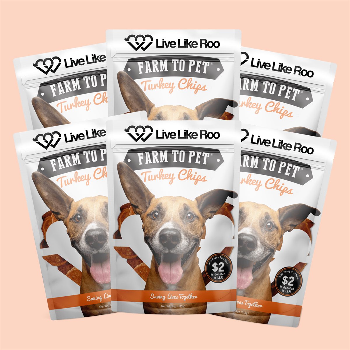 Dog Treats Turkey Feast Chips Single-Ingredient Natural
