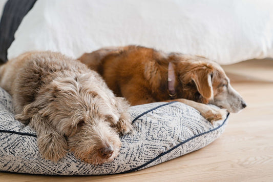 Round Pet Bed in Sapphire Spaniel | Purrfect Pet Kingdom