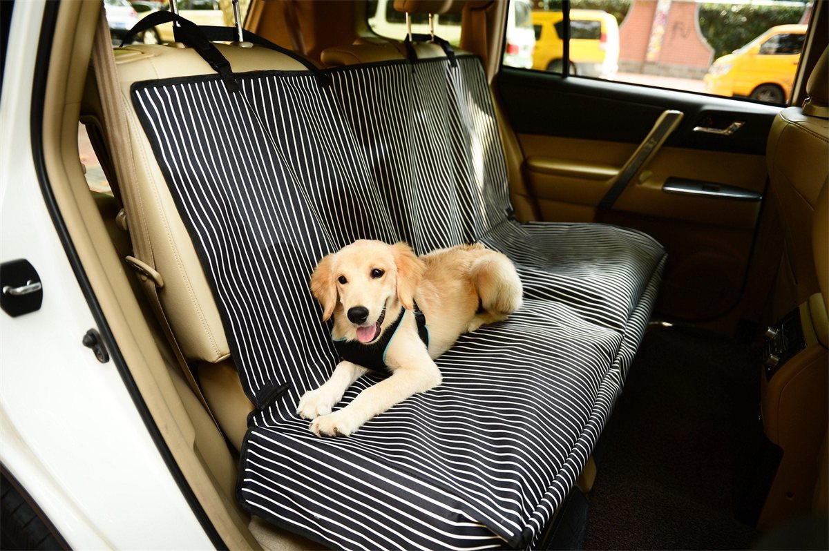 Dog Car Seat Cover Open Road Full Back Seat Protector Hammock - Detail Angle 7 | Majestic Pet Kingdom