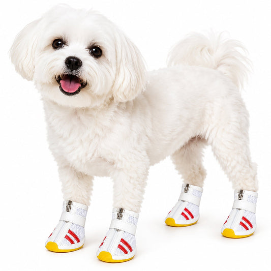 dog-running-shoes-breathable-air-mesh-paw-booties-4-pack-luxury-view-2 | Majestic Pet Kingdom