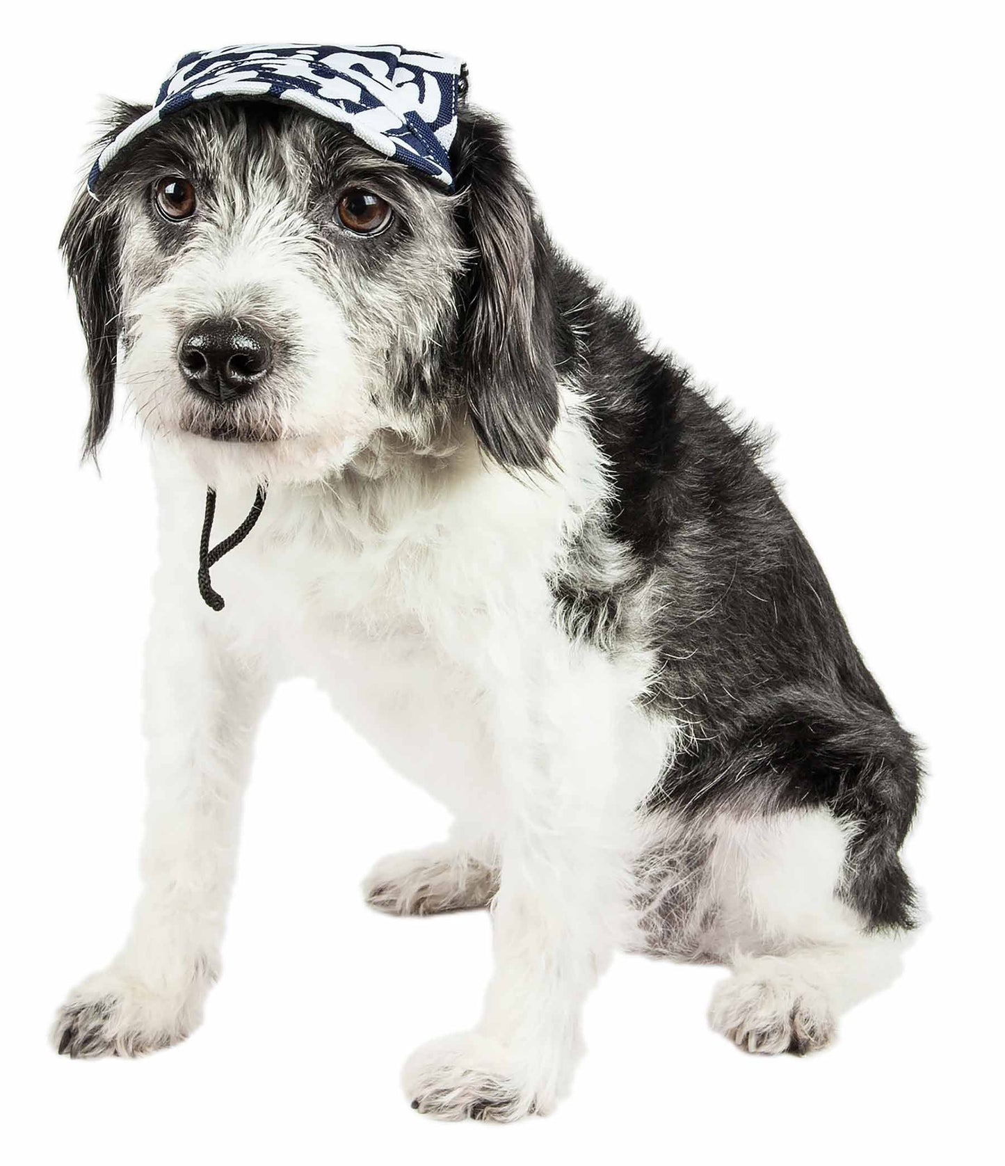 Pet Life ® 'Bone Cappa' Graffiti Sculptured Uv Protectant Adjustable Fashion Dog Hat Cap