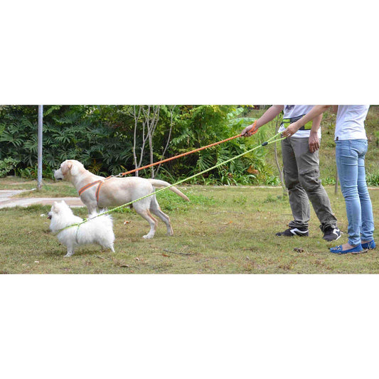 dog-harness-leash-set-reflective-adjustable-2-in-1-class-luxury-view-2 | Majestic Pet Kingdom