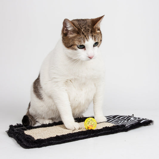 Cat Scratcher Scrape-Away Sisal and Jute Hanging Carpet Toy