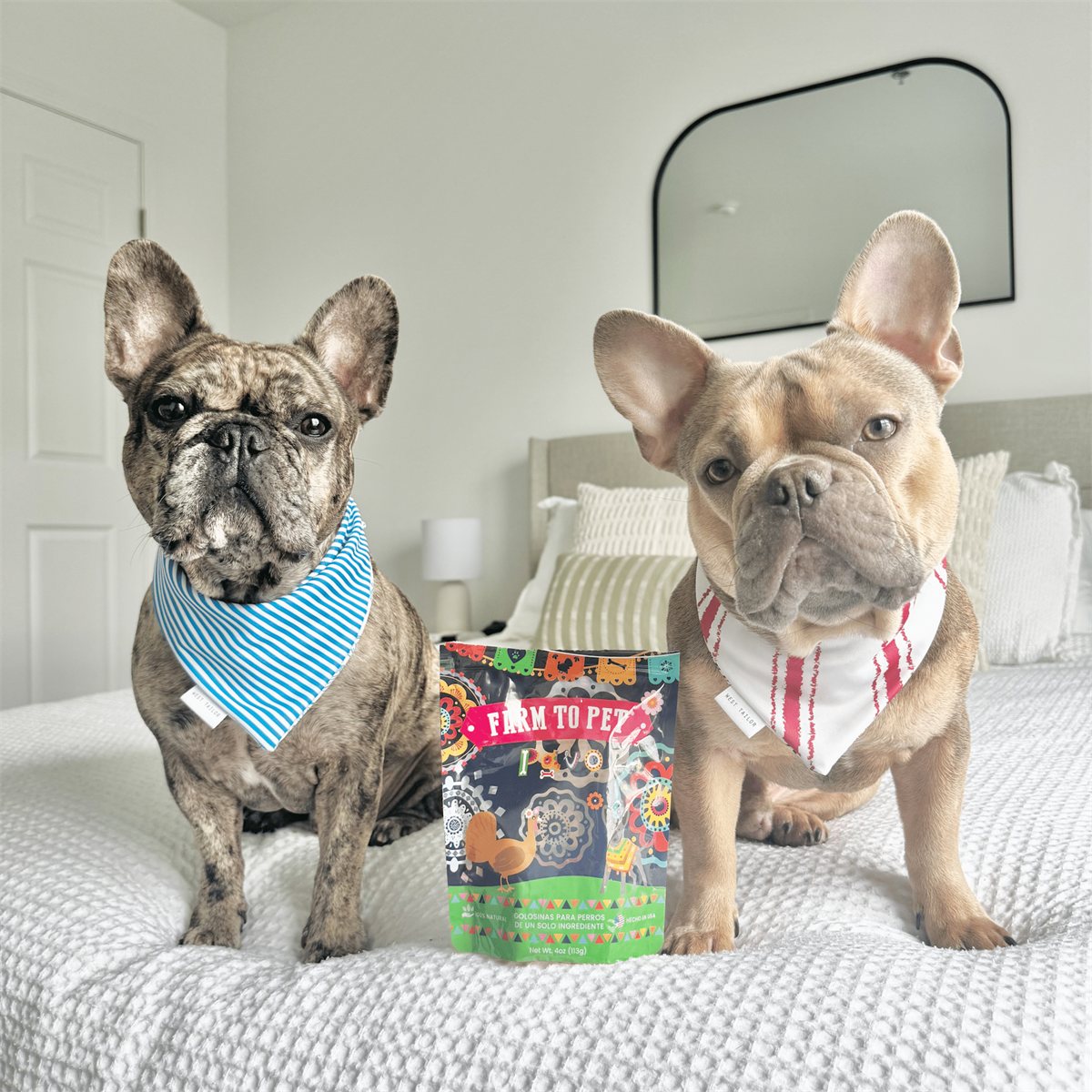 Dog Treats Variety Bundle Fiesta Pack Natural Crunchy Chews
