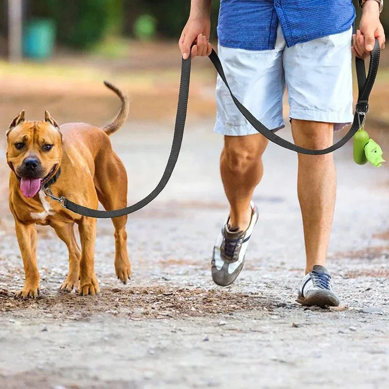 Dog Leash Reflective High Visibility Polyester Walking Lead 5ft - Detail Angle 7 | Majestic Pet Kingdom