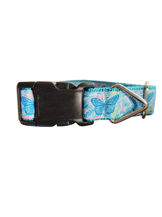 Blue Butterflies Nylon Dog Collar | Purrfect Pet Kingdom
