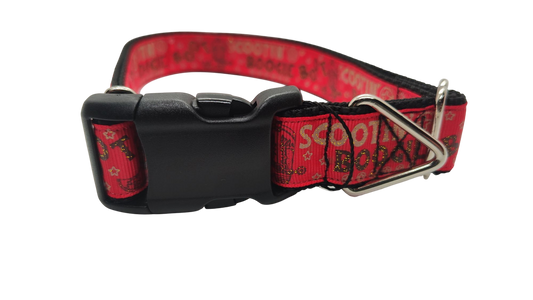 Boot Scootin Boogie Nylon Dog Collar | Purrfect Pet Kingdom
