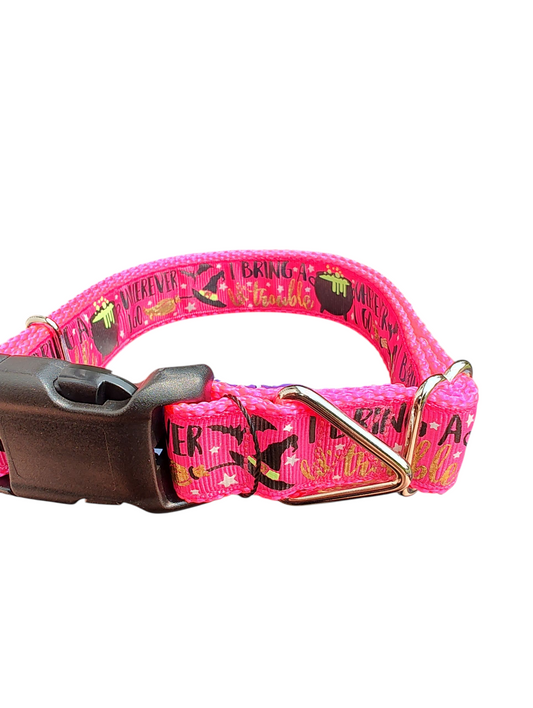 I Bring Trouble Nylon Dog Collar | Purrfect Pet Kingdom