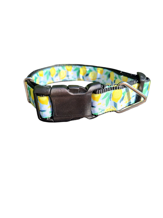 Lemon Flowers Nylon Dog Collar | Purrfect Pet Kingdom