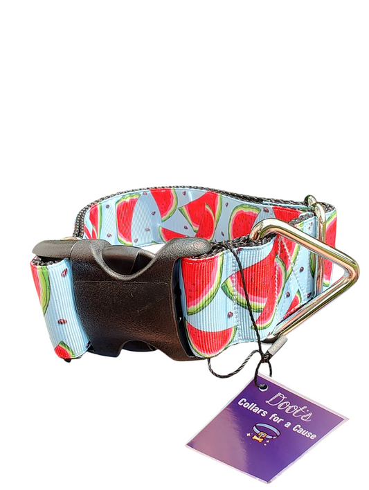 1.5" Wide Watermelon Wedges Nylon Dog Collar | Purrfect Pet Kingdom