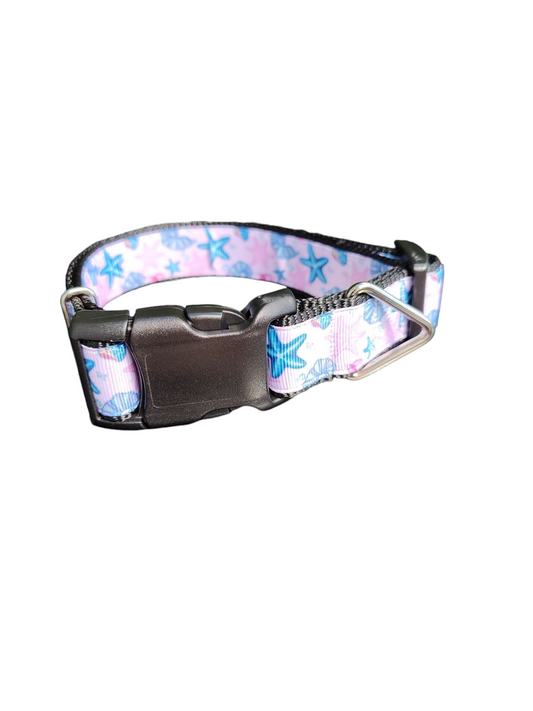 Starfish and Snails Nylon Dog Collar | Purrfect Pet Kingdom