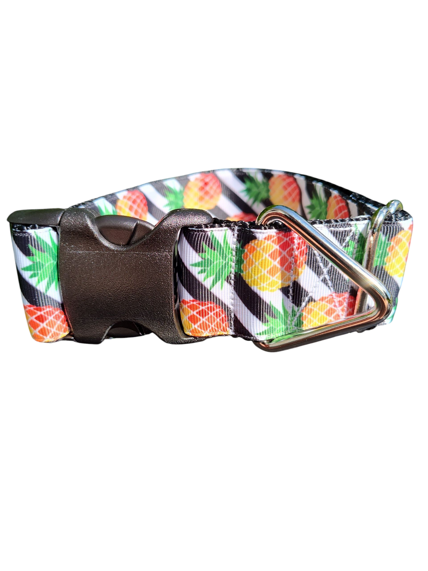 1.5" Wide Pineapple Stripes Nylon Dog Collar | Purrfect Pet Kingdom