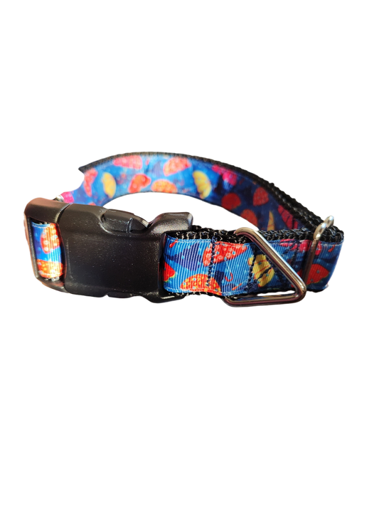 Umbrellas Nylon Dog Collar | Purrfect Pet Kingdom