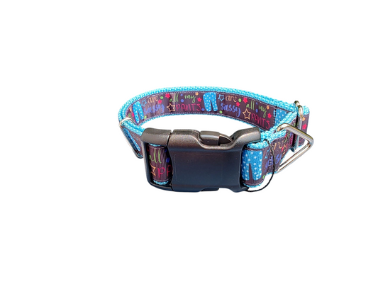 Sassy Pants Nylon Dog Collar | Purrfect Pet Kingdom