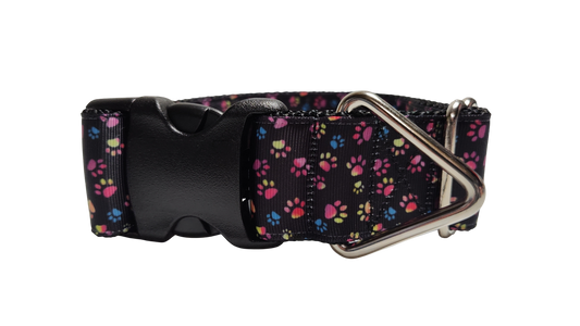 1.5" Wide Colorful Pawprints Nylon Dog Collar | Purrfect Pet Kingdom