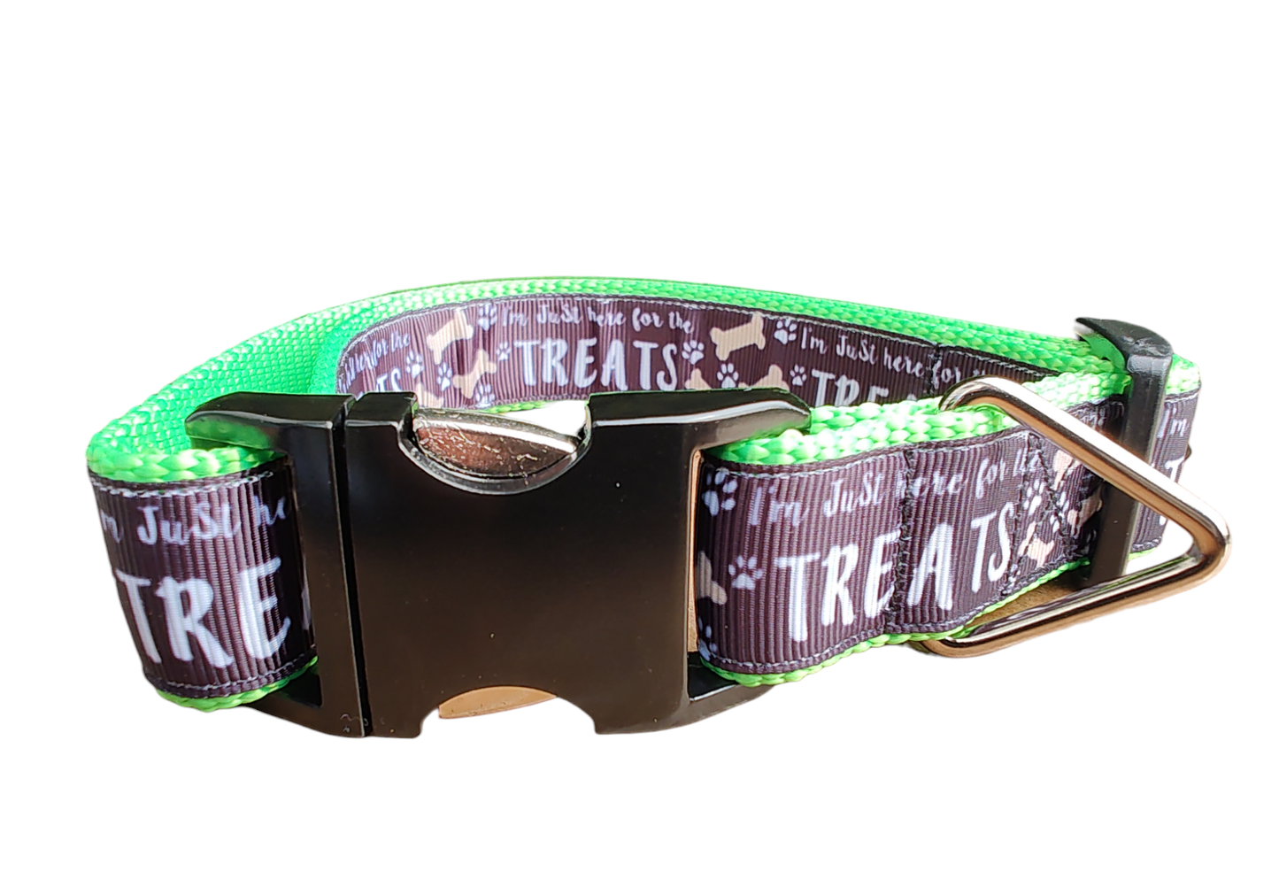 Here For The Treats Neon Green Nylon Dog Collar MD, LG, XL, Leash | Purrfect Pet Kingdom