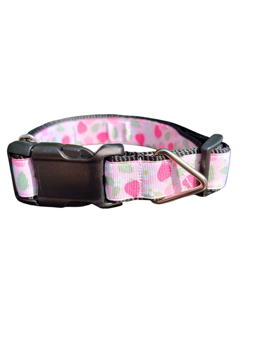 Pink Strawberries Nylon Dog Collar | Purrfect Pet Kingdom