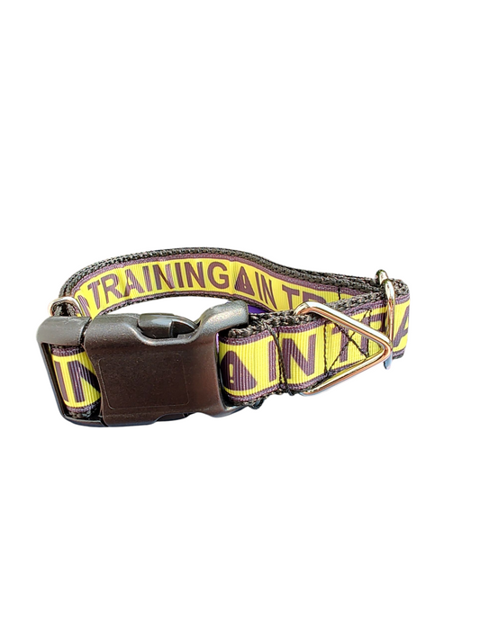 In Training Nylon Dog Collar | Purrfect Pet Kingdom