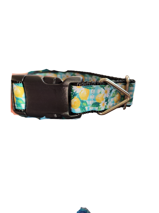 Gingham Lemons Nylon Dog Collar | Purrfect Pet Kingdom