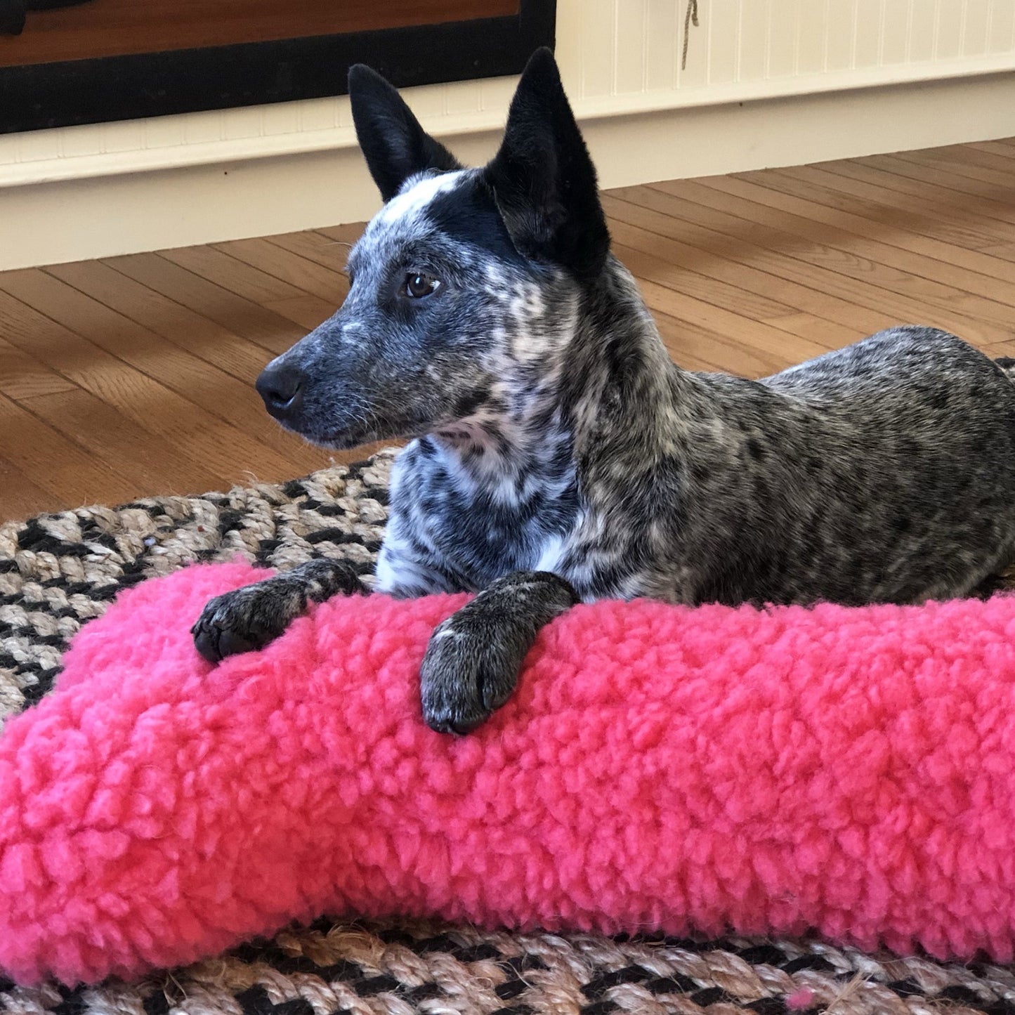 Dog Plush Toy HuggleCause Living Beyond Breast Cancer Fleece