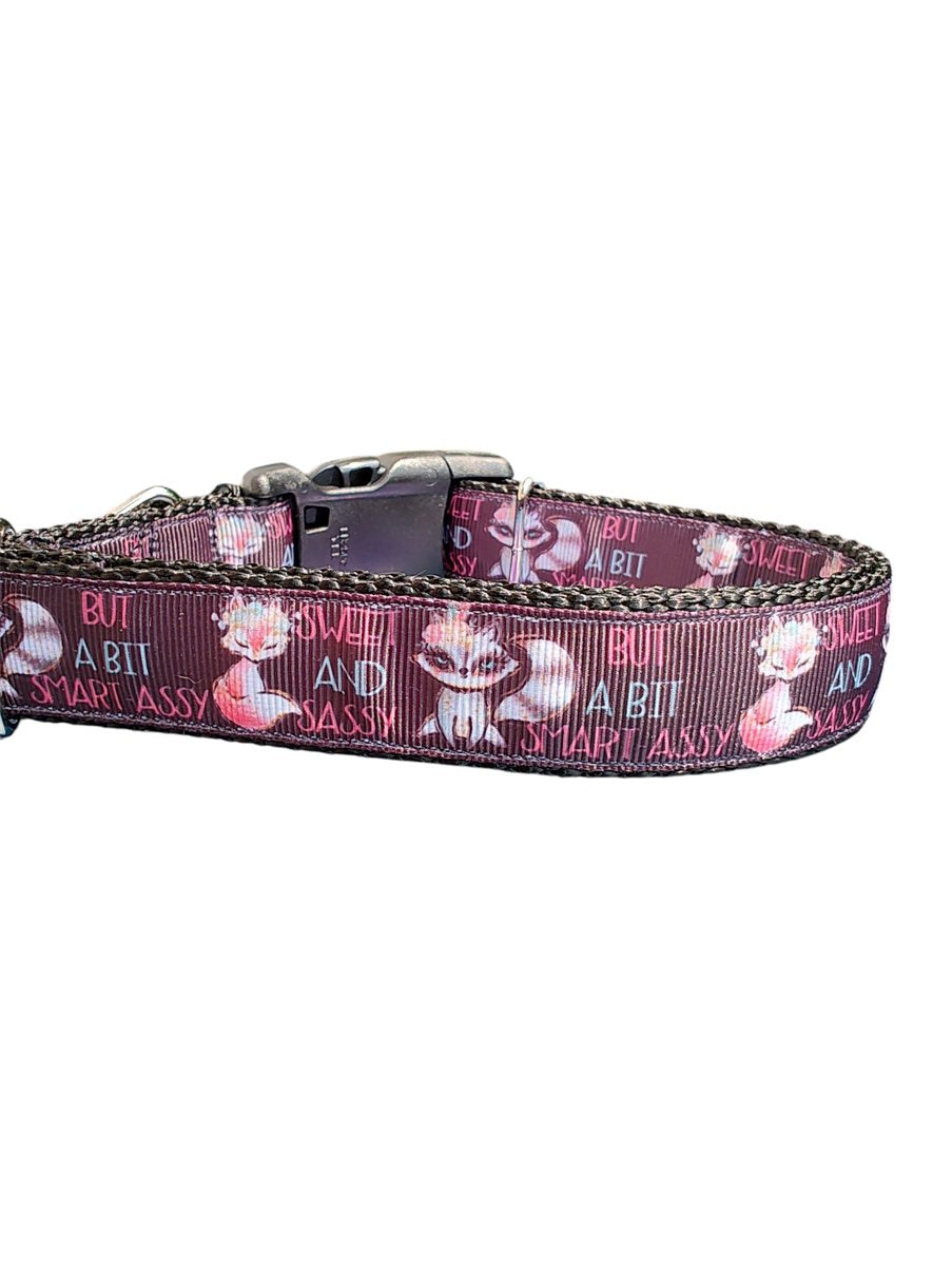 Dog Collar Sweet Sassy Smart Assy Printed Nylon Neck Strap - Main Feature View | Majestic Pet Kingdom