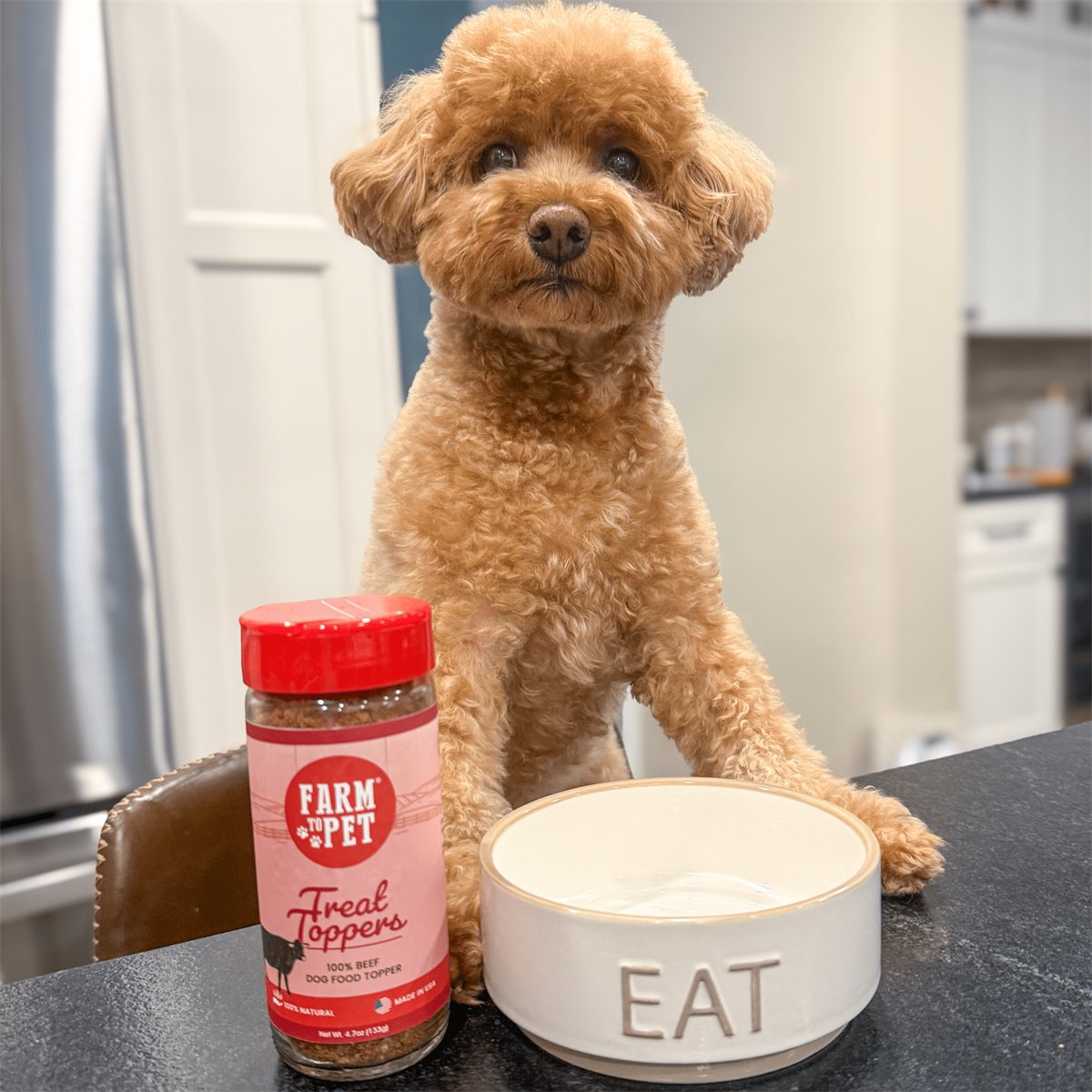 Dog Food Topper Beef Powdered Meal Booster Supplement 4oz - Detail Angle 4 | Majestic Pet Kingdom