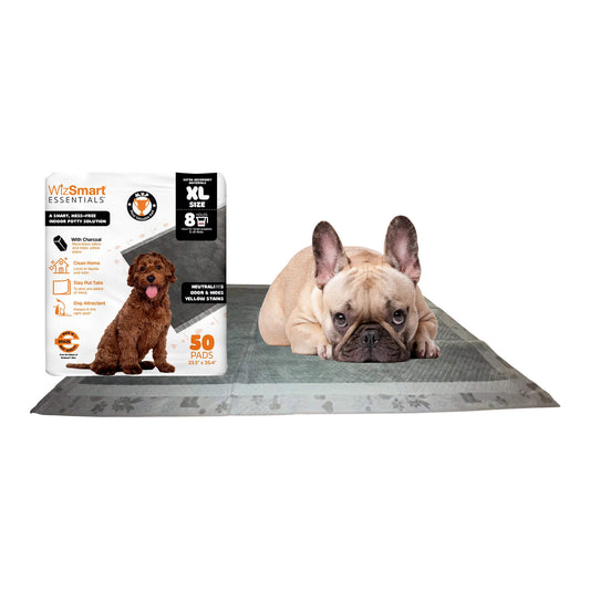Dog Pee Pads WizSmart Charcoal Odor Control XL 50-Count Box
