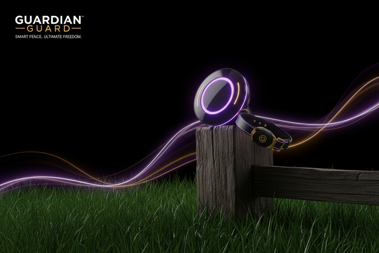 Electric Invisible Fences | Majestic Pet KingdomT