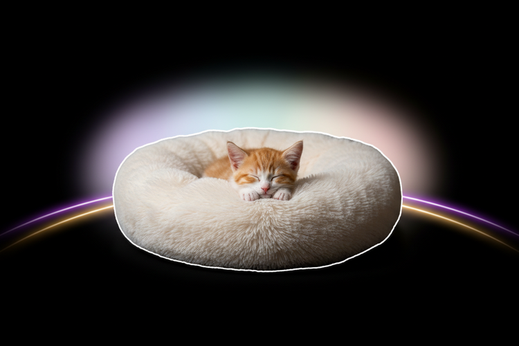 Nursery Nests Small Breed Caves & Kitten Sleeping Pods - Majestic Pet Kingdom