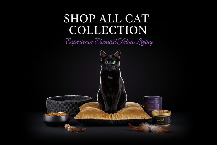 Shop All Cat
