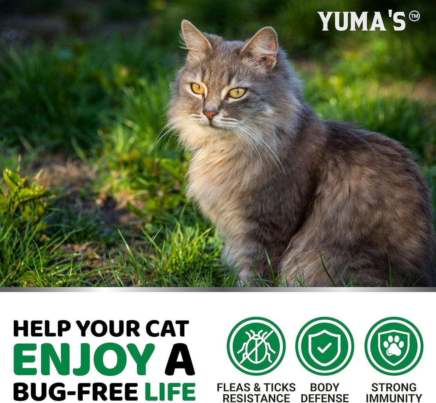 Flea & Tick Chews for Cats - Oral Health Supplement