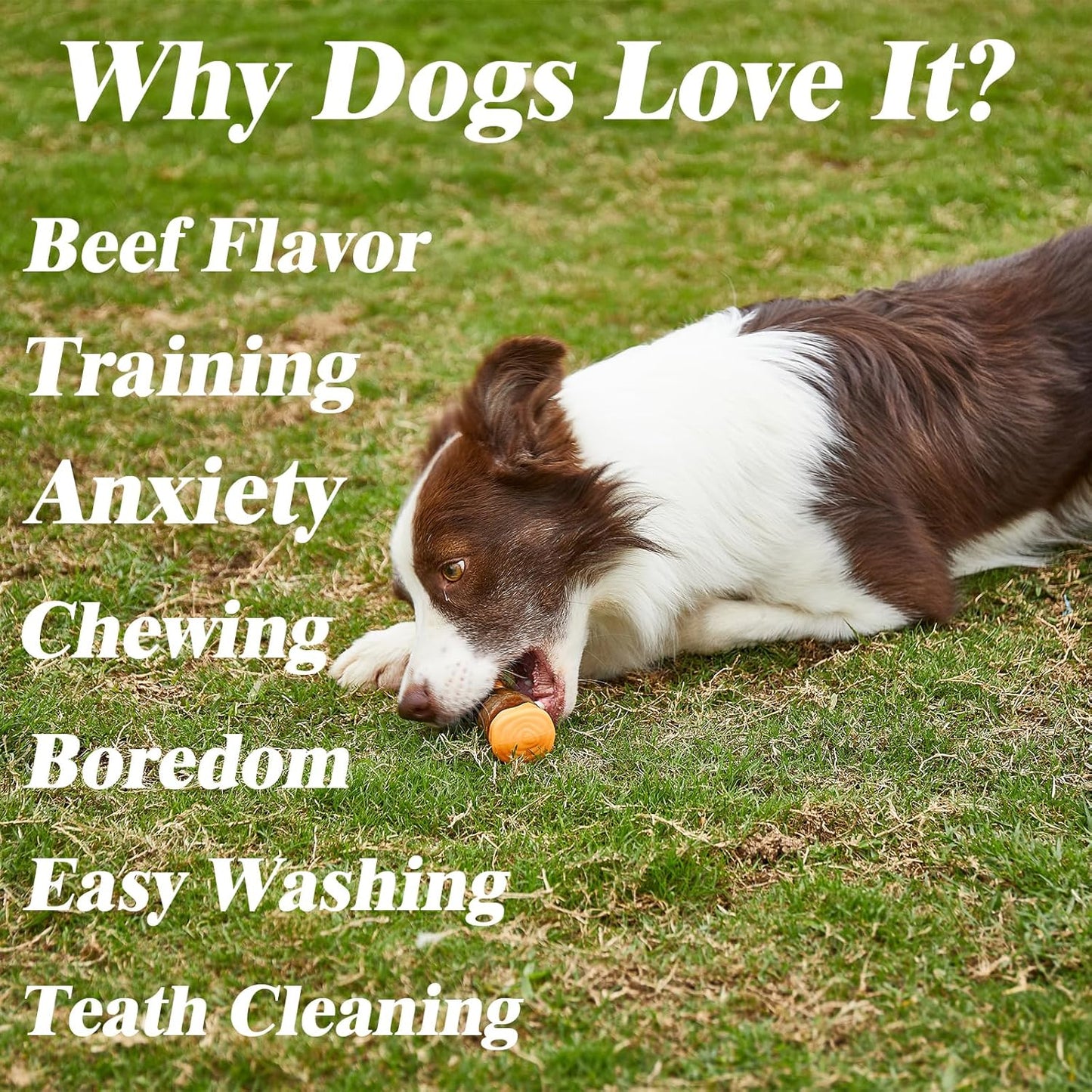 Dog Chew Toy Real Beef Flavored Indestructible Rubber Bone - Detail Angle 5 | Majestic Pet Kingdom