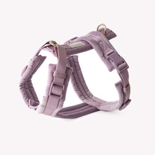 Lilac - Velvet Dog Harness | Purrfect Pet Kingdom
